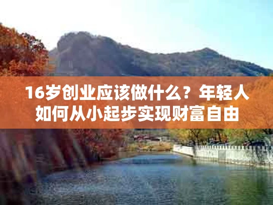 16岁创业应该做什么？年轻人如何从小起步实现财富自由