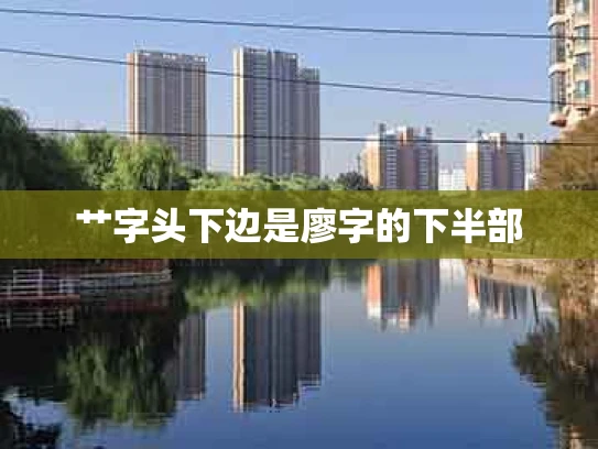 艹字头下边是廖字的下半部