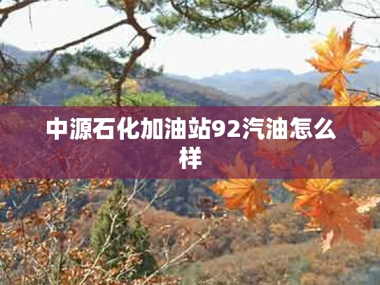中源石化加油站92汽油怎么样