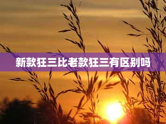 新款狂三比老款狂三有区别吗