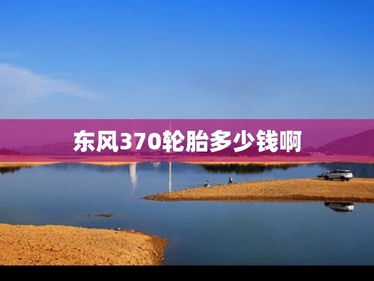 东风370轮胎多少钱啊