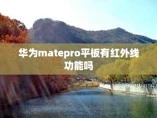 华为matepro平板有红外线功能吗