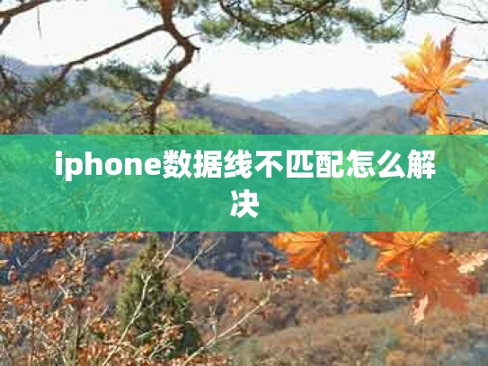 iphone数据线不匹配怎么解决