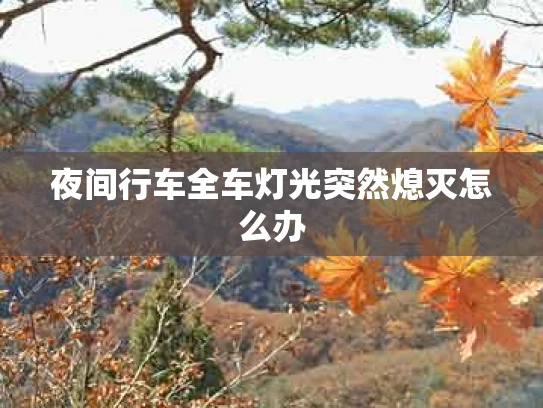 夜间行车全车灯光突然熄灭怎么办