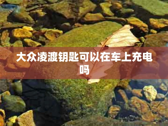 大众凌渡钥匙可以在车上充电吗