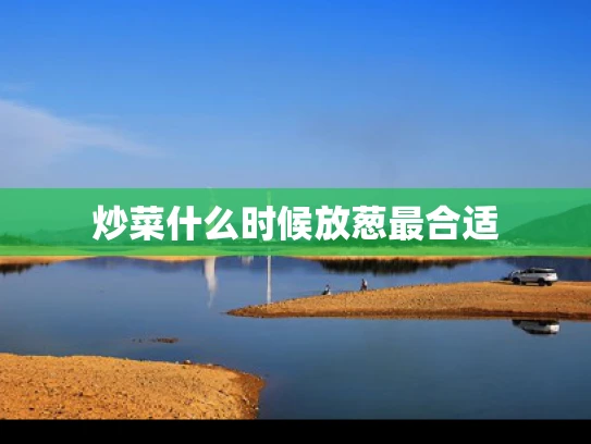炒菜什么时候放葱最合适