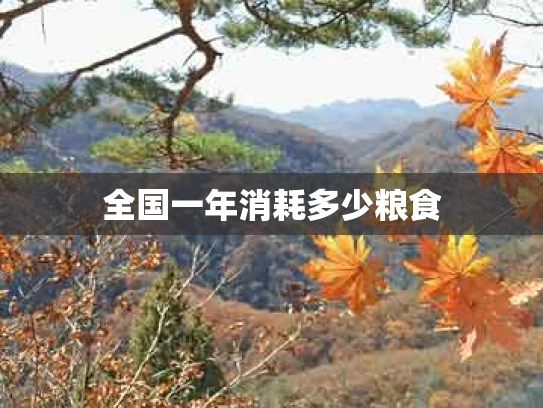 全国一年消耗多少粮食