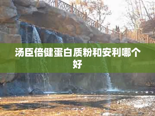 汤臣倍健蛋白质粉和安利哪个好
