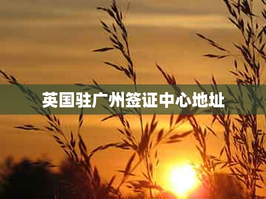 英国驻广州签证中心地址