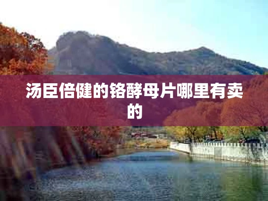 汤臣倍健的铬酵母片哪里有卖的