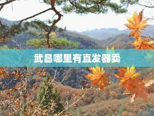 武昌哪里有直发器卖