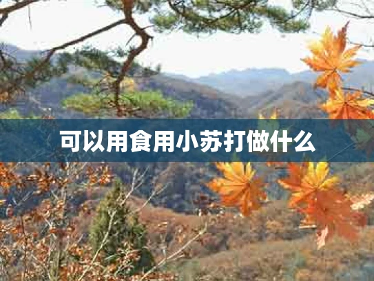 可以用食用小苏打做什么