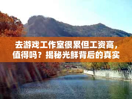 去游戏工作室很累但工资高，值得吗？揭秘光鲜背后的真实生活