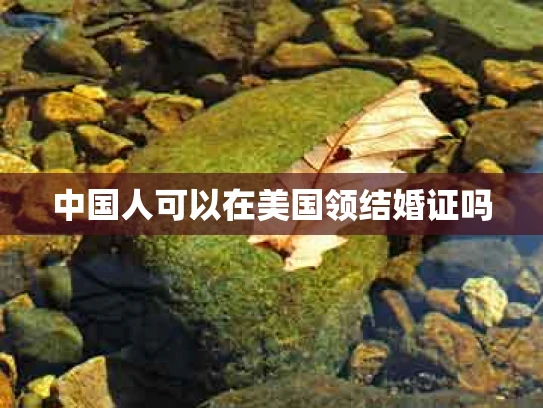 中国人可以在美国领结婚证吗