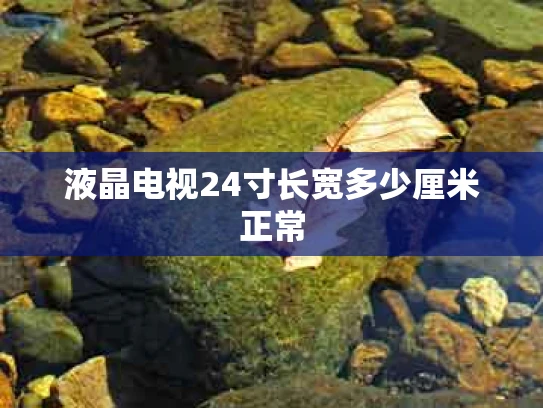 液晶电视24寸长宽多少厘米正常
