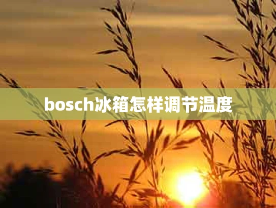 bosch冰箱怎样调节温度