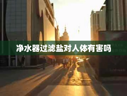 净水器过滤盐对人体有害吗
