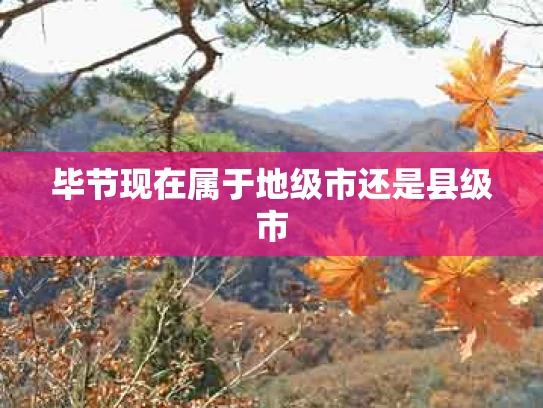 毕节现在属于地级市还是县级市