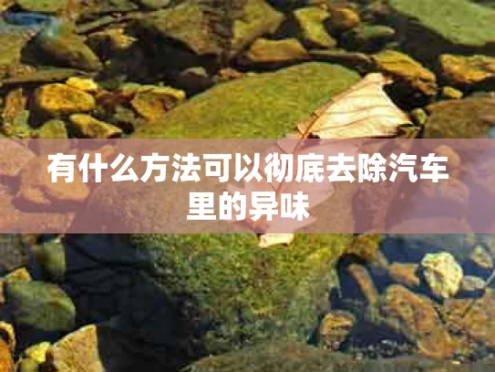 有什么方法可以彻底去除汽车里的异味