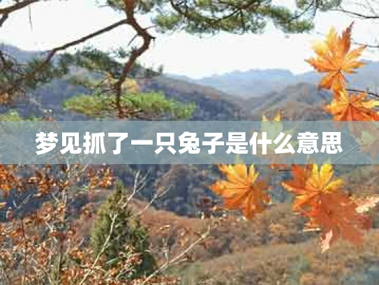 梦见抓了一只兔子是什么意思
