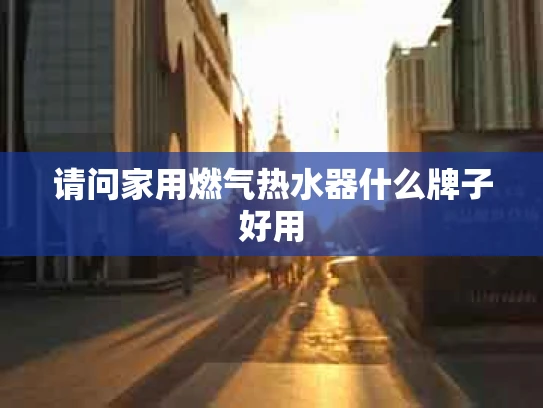 请问家用燃气热水器什么牌子好用
