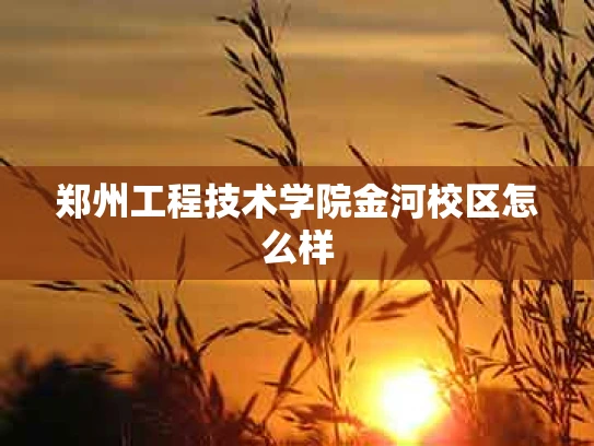 郑州工程技术学院金河校区怎么样