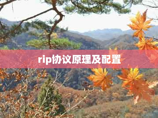 rip协议原理及配置