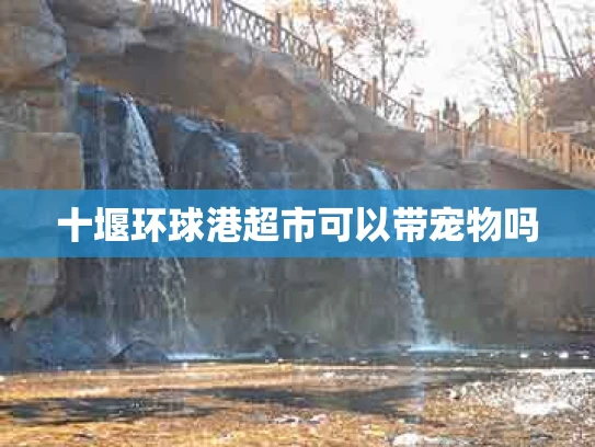 十堰环球港超市可以带宠物吗