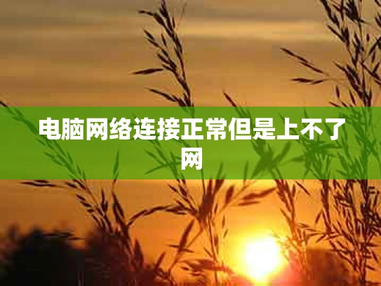 电脑网络连接正常但是上不了网