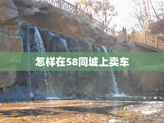 怎样在58同城上卖车