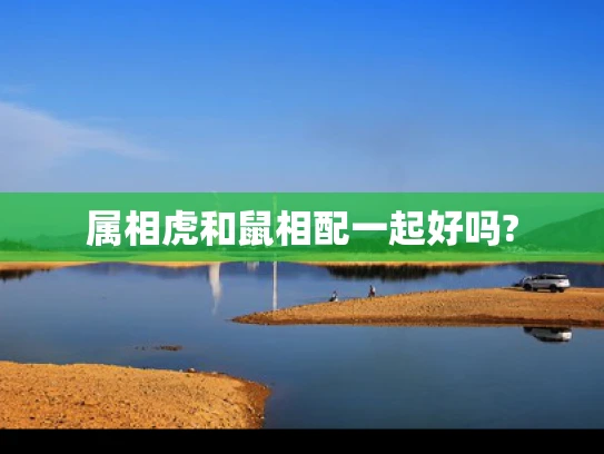 属相虎和鼠相配一起好吗?