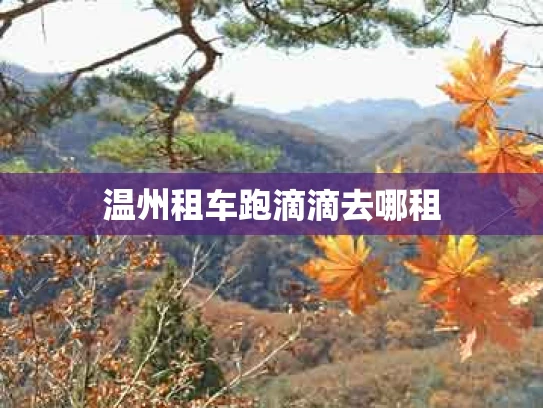 温州租车跑滴滴去哪租