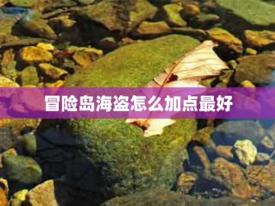 冒险岛海盗怎么加点最好