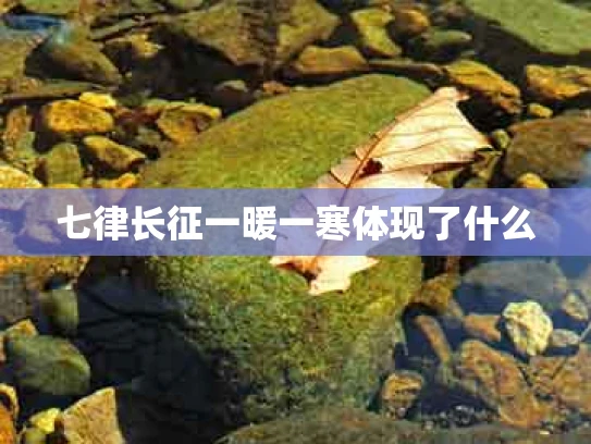 七律长征一暖一寒体现了什么