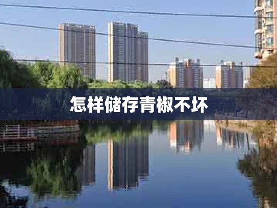 怎样储存青椒不坏
