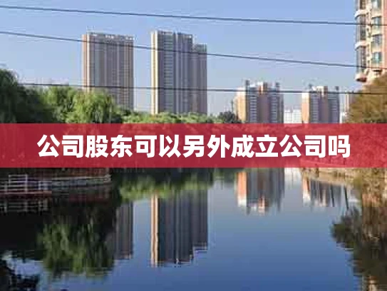 公司股东可以另外成立公司吗