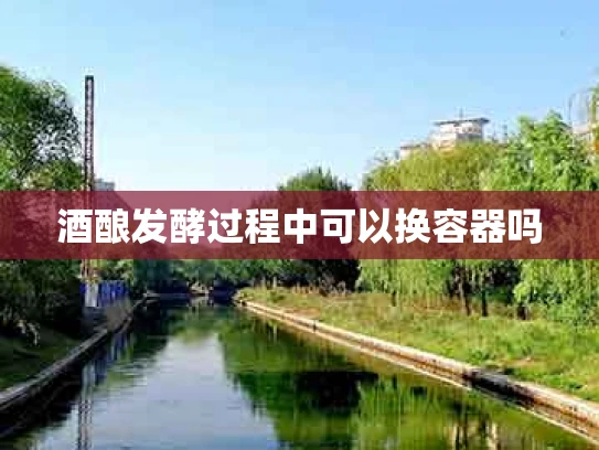 酒酿发酵过程中可以换容器吗