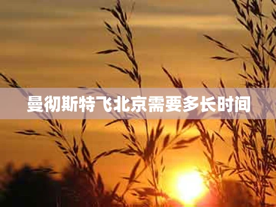 曼彻斯特飞北京需要多长时间