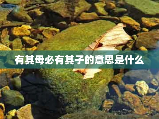 有其母必有其子的意思是什么