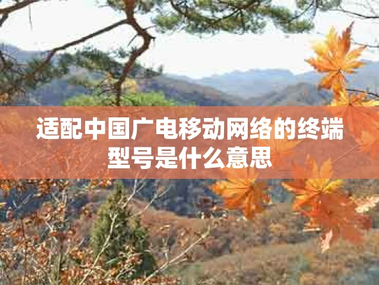 适配中国广电移动网络的终端型号是什么意思