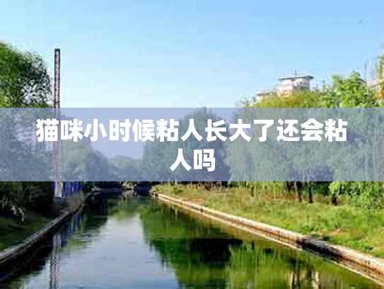 猫咪小时候粘人长大了还会粘人吗