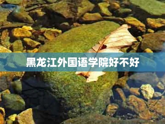 黑龙江外国语学院好不好