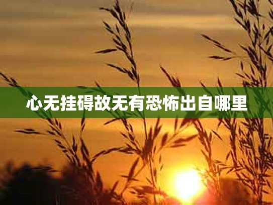 心无挂碍故无有恐怖出自哪里