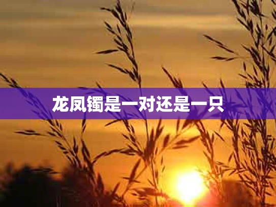 龙凤镯是一对还是一只