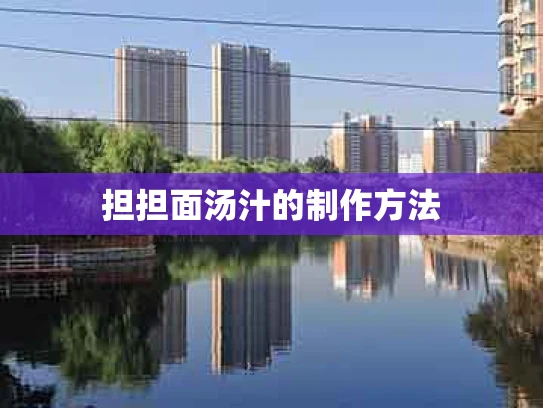 担担面汤汁的制作方法