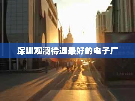 深圳观澜待遇最好的电子厂