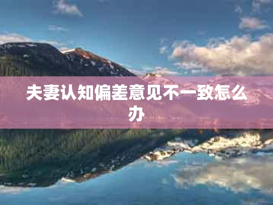 夫妻认知偏差意见不一致怎么办