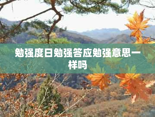 勉强度日勉强答应勉强意思一样吗