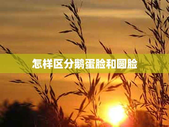 怎样区分鹅蛋脸和圆脸