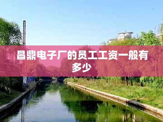 昌鼎电子厂的员工工资一般有多少